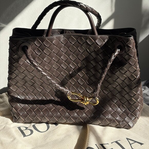 Bottega Veneta Andiamo Bag in Medium size (Brown) - Picture 3 of 12